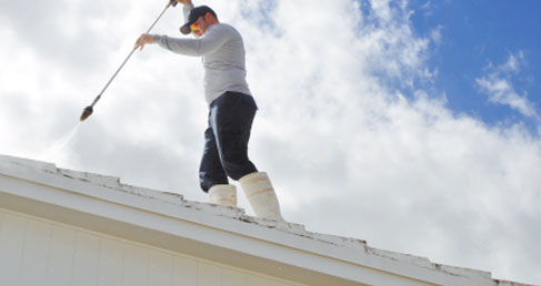chimney cleaner