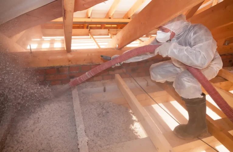 Blown-in insulation and removal